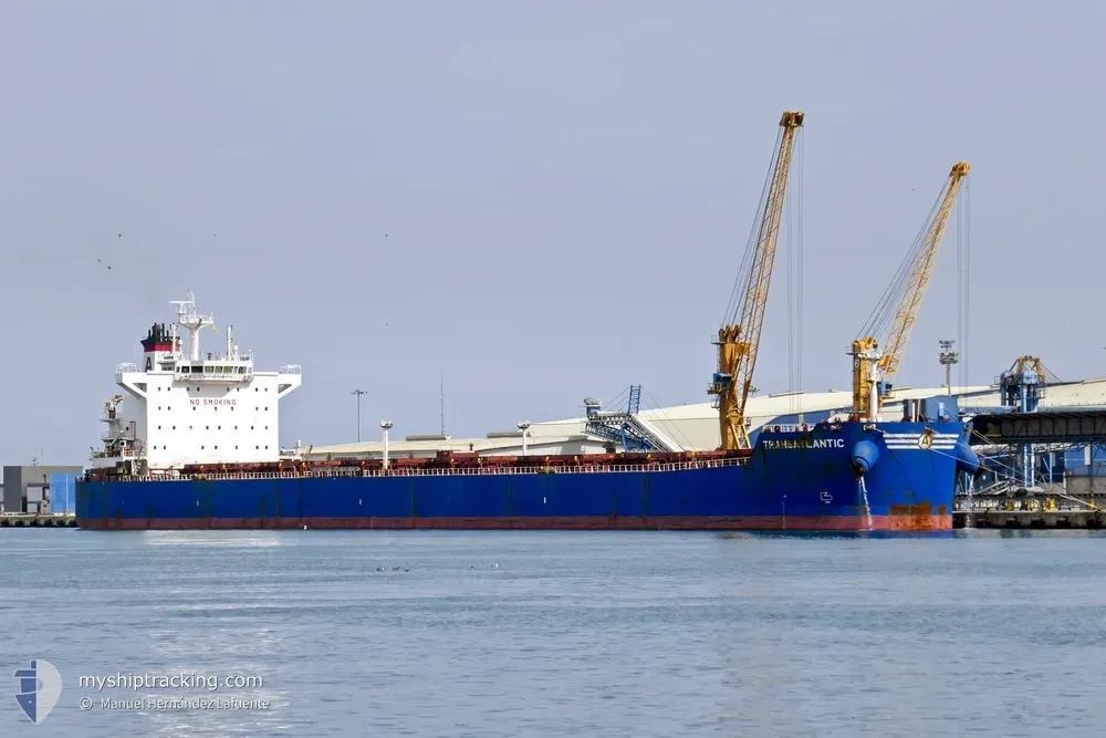 transatlantic (Bulk Carrier) - IMO 9597238, MMSI 229125000, Call Sign 9HA3088 under the flag of Malta