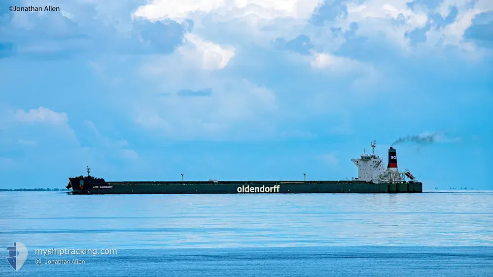 luise oldendorff (Bulk Carrier) - IMO 9714240, MMSI 255805685, Call Sign CQEI under the flag of Madeira