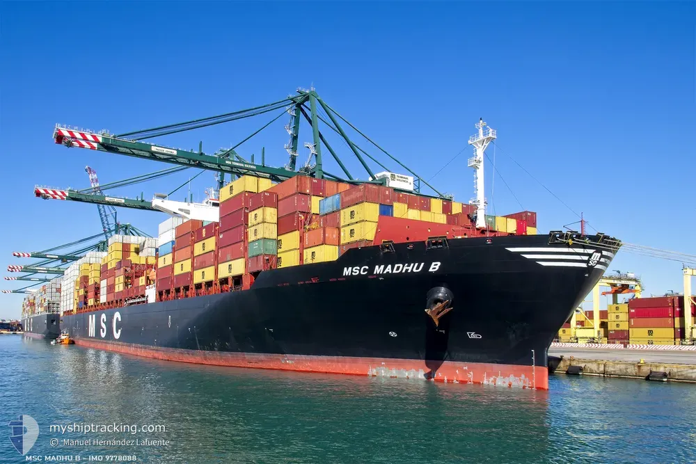 msc madhu b (Container Ship) - IMO 9778088, MMSI 255806031, Call Sign CQIP6 under the flag of Madeira