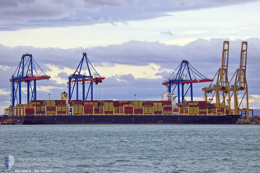 msc siya b (Container Ship) - IMO 9793947, MMSI 255806502, Call Sign CQEW3 under the flag of Madeira