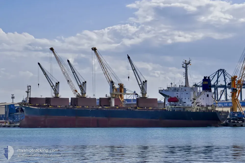 my meray (Bulk Carrier) - IMO 9000302, MMSI 312495000, Call Sign V3TJ6 under the flag of Belize