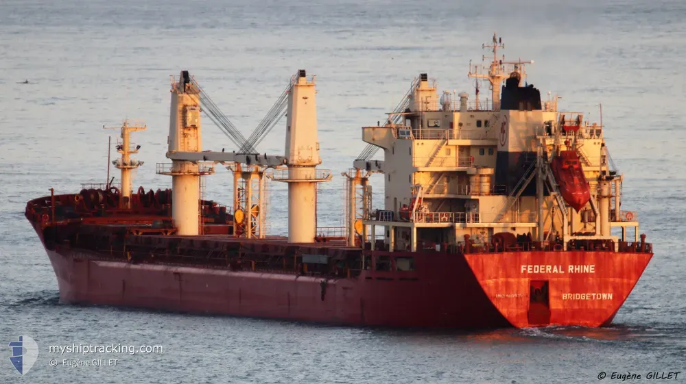 janki (Bulk Carrier) - IMO 9110925, MMSI 314076000, Call Sign 8PNZ under the flag of Barbados
