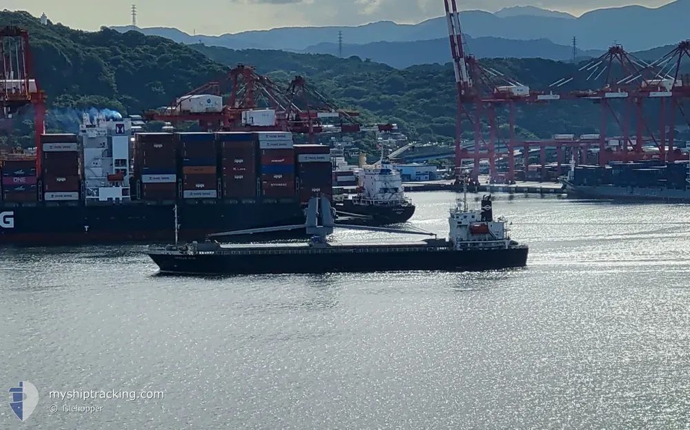 apollo beni (General Cargo Ship) - IMO 9354193, MMSI 353378000, Call Sign 3EFD7 under the flag of Panama