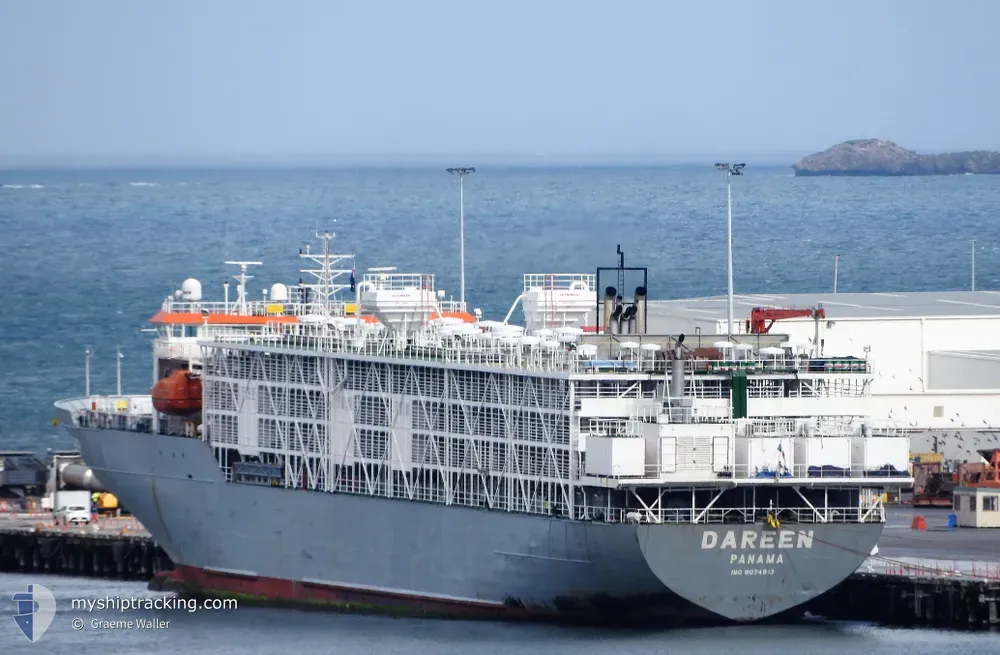 dareen (Livestock Carrier) - IMO 9074913, MMSI 353518000, Call Sign 3FYL8 under the flag of Panama
