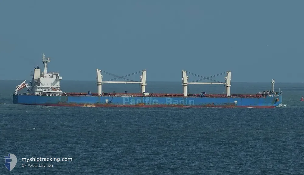 cape henry (Bulk Carrier) - IMO 9648879, MMSI 355063000, Call Sign 3FTN3 under the flag of Panama