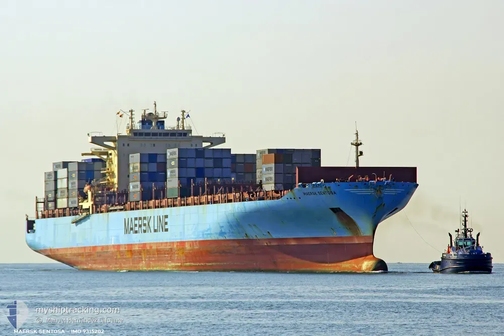 maersk sentosa (Container Ship) - IMO 9315202, MMSI 369246000, Call Sign WSEP under the flag of United States (USA)