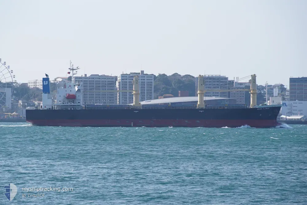 asian flower (General Cargo Ship) - IMO 9839375, MMSI 373386000, Call Sign 3EVX7 under the flag of Panama