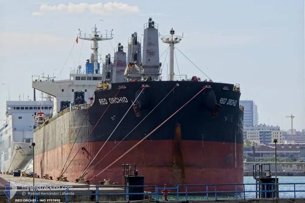 red orchid (Bulk Carrier) - IMO 9757890, MMSI 374249000, Call Sign 3FUL5 under the flag of Panama